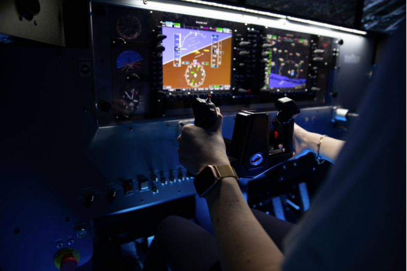Skyborne flight simulator